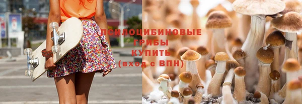 прущие крисы Зеленокумск
