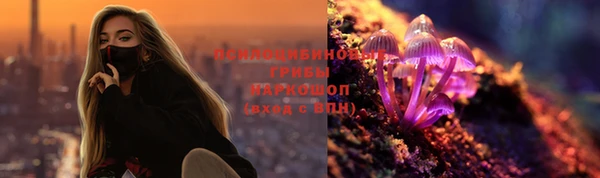 прущие крисы Зеленокумск