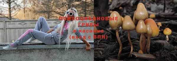 прущие крисы Зеленокумск
