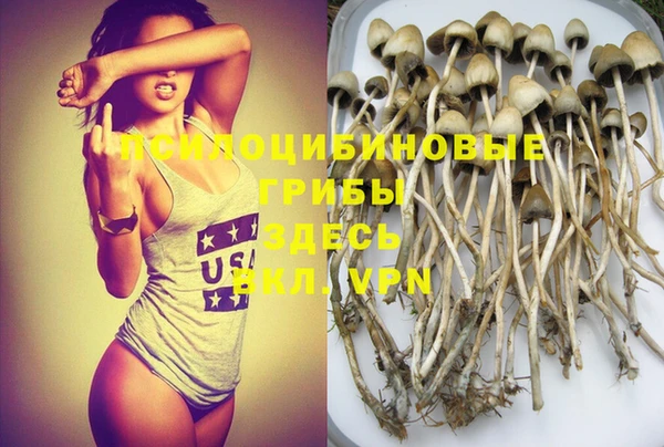 прущие крисы Зеленокумск